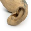 Ear Vessel