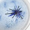 Starburst Plate